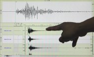 Un sismógrafo en el que aparece registrado un terremoto. EFE/Archivo