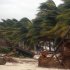 People survey the damage caused by Hurricane Ernesto after it made landfall overnight in Mahahual, near Chetumal, Mexico, Wednesday, Aug. 8, 2012. (AP Photo/Israel Leal)