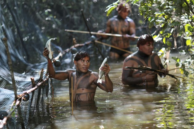 Yawalapiti tribe members catch fish in the Xingu National Park