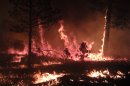 New Mexico fire sets largest record