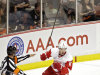 Detroit Red Wings left wing Justin Abdelkader celebrates his short handed goal during the first period in Game 7 of their first-round NHL hockey Stanley Cup playoff series against the Anaheim Ducks in Anaheim, Calif., Sunday, May 12, 2013. (AP Photo/Chris Carlson)