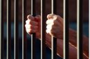 Austria: şapte „pantere roz” au fost condamnate la ani grei de închisoare