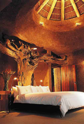 Căn phòng tổng thống của một khách sạn tại Nam Phi với gốc cây cổ thụ trong phòng.
