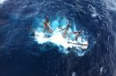 Photos: Captain missing after Sandy claims HMS Bounty