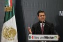 Mexico's president-elect Enrique Pena Nieto gives a speech during a meeting with newly elected members of the country's congress from the Green Party of Mexico (Partido Verde Ecologista de Mexico, PVEM) in a Mexico City hotel