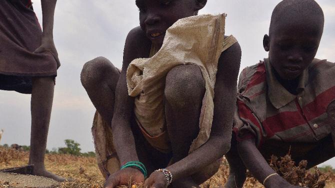 Children gather grain spilled from bags busted open following a food-drop on February 24, 2015 at a village in Nyal, Panyijar county, near the northern border with Sudan