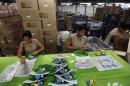 Employees make toys of Fuleco the Armadillo, the official mascot of the FIFA 2014 World Cup, at a factory in Sao Bernardo do Campo