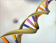 (Arquivo) Ilustração da dupla hélice de DNA