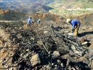 Comienzo de las obras de emergencia previas a los trabajos de restauración forestal de la zona afectada por un incendio el pasado 30 de agosto en Coín (Málaga). EFE/Archivo