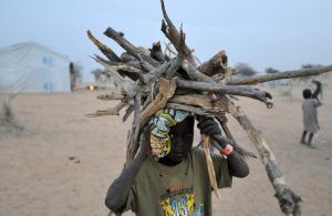 A Nigerian refugee child carries wood in a United Nations &hellip;