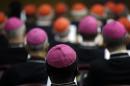 Bishops and Cardinals attend a morning session of a two-week synod on family issues at the Vatican, Monday, Oct. 13, 2014. (AP Photo/Gregorio Borgia)