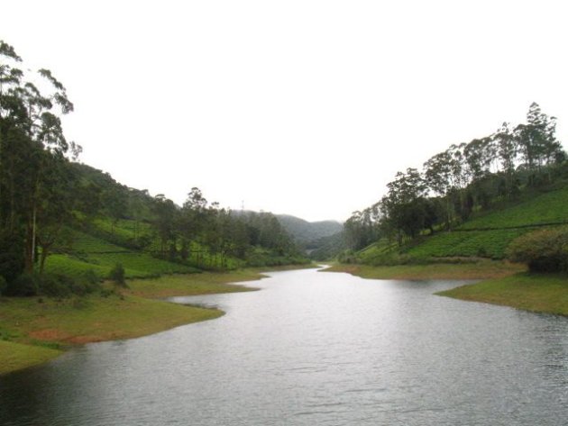 A lake surrounded by tea gardens in Meghamalai. Click for more
