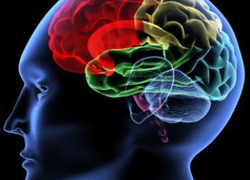 Puasa Mencerdaskan Otak Lho (2)