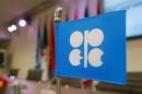 A flag with the OPEC logo is seen before a news conference in Vienna