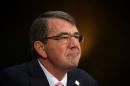 US Defense Secretary Ashton Carter testifies during a hearing before the Senate Armed Services Committee on December 9, 2015