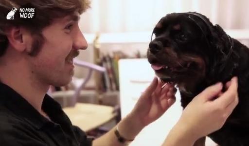 ΣΥΓΚΛΟΝΙΣΤΙΚΟ: Αυτός ο σκύλος μιλάει ανθρώπινα -To gadget που μετατρέπει τα γαβγίσματα σε λέξεις [βίντεο]