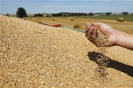 Les pays du G20 doivent se mettre d'accord sur une action coordonnée pour apaiser les tensions sur les prix agricoles, estime José Graziano da Silva, le directeur général de la FAO, tout en jugeant qu'on ne peut pas parler de crise pour le moment. /Photo prise le 8 août 2012/REUTERS/Stéphane Mahé