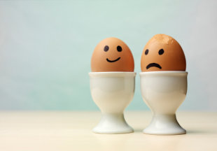 5 choses que vous ne saviez pas sur les œufs