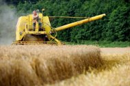 Fazendeiro em campo de trigo no norte da França em 11 de agosto de 2012