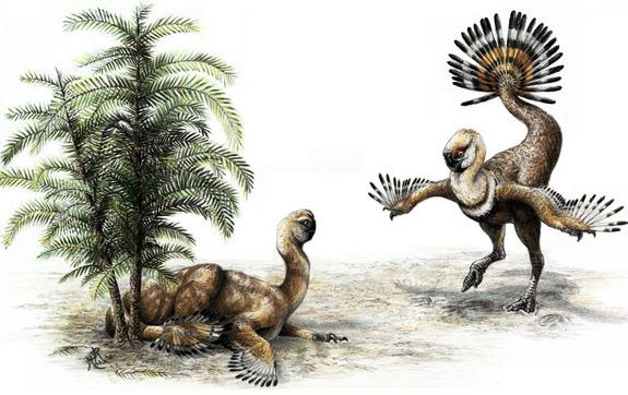 oviraptor-illustration.jpg1357230767