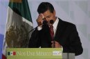 Mexico's president-elect Enrique Pena Nieto wipes his brow during his speech at a national meeting of elected mayors from the Institutional Revolutionary Party (PRI), in Mexico City
