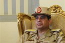 Egypt's Defense Minister Abdel Fattah al-Sisi is seen during a news conference in Cairo on the release of seven members of the Egyptian security forces kidnapped by Islamist militants in Sinai