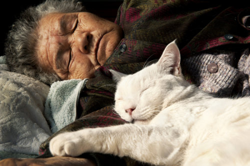 Tình bạn cảm động của bà lão 88 tuổi và mèo Grand2-jpg_035359
