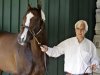 Trainer Bob Baffert leads Preakness Stakes horse race hopeful Bodemeister around the barn at at Pimlico racetrack, Wednesday, May 16, 2012, in Baltimore. (AP Photo/Garry Jones)