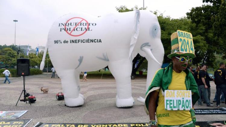 A Brazilian fan poses in front of a white elephant deployed in a protest by Federal Police personnel on strike in Rio de Janeiro, Brazil on May 7, 2014