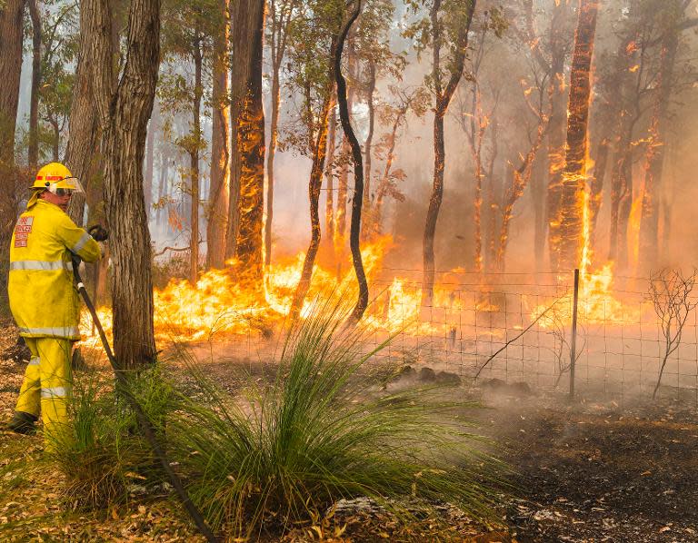 This handout photo taken on January 12, 2014 and supplied by Australia's Department of Fire and Emergency Services (DFES) shows firefighters working to contain wildfires in the Stoneville area, a suburb east of Perth in Western Australia