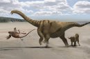 How Dinosaurs Grew the World's Longest Necks