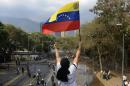 A demonstrator holds the Venezuelan national flag during a protest against President Nicolas Maduro on March 12, 2014, in Caracas