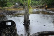 Los demandantes de Chevron en Ecuador iniciaron una acción judicial en Brasil para embargar bienes de la petrolera estadounidense en ese país y cobrar unos 18.000 millones de dólares por daños ambientales, anunció el jueves la parte acusadora. (AFP/Archivo | rodrigo buendia)