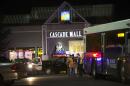 City 'changed forever' as authorities hunt mall gunman