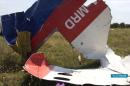 30 MILLION DOLLAR REWARD TO SOLVE MH17 MYSTERY