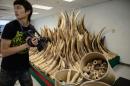 China is the world's largest consumer of illegal ivory, according to conservationists