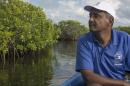 Handout photo of marine biologist Wiener during an inspection patrol of a mangrove forest in Caracol