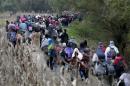 Migrants walk in Slovenia after passing through the Croatian village of Kljuc Brdovecki