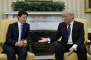 Canadian Prime Minister Trudeau meets with U.S. President Trump at the White House in Washington