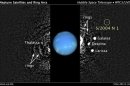 The location of a newly discovered moon orbiting Neptune is seen in this composite Hubble Space Telescope handout image