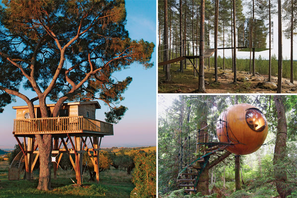 Treehouse Hotel