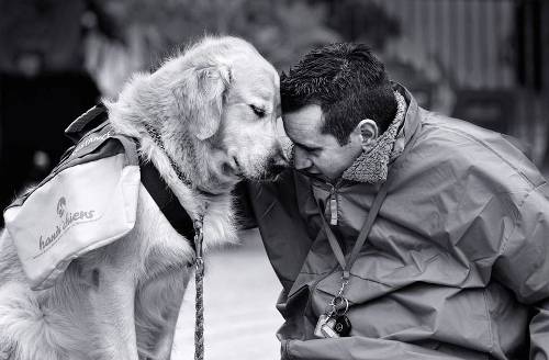 diaforetiko.gr :  Συγκινητικές εικόνες ανθρώπων με τα σκυλιά τους!