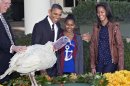 President Barack Obama, with daughters Sasha, center, and Malia, right, carries on the Thanksgiving tradition of saving a turkey from the dinner table with a "presidential pardon" at the White House in Washington, Wednesday, Nov. 21, 2012. After the ceremony, "Cobbler" will head to George Washington's historic home in Virginia to be part of the "Christmas at Mount Vernon" exhibition. National Turkey Federation Chairman Steve Willardsen watches at left. (AP Photo/J. Scott Applewhite)