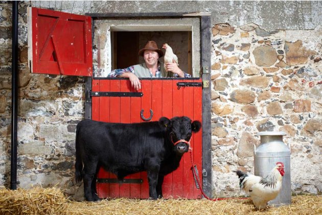 Archie, the world&#39;s Shortest Bull (30 inches (76.2 cm) from hoof to withers)