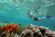 Turista observa corais de Raja Ampat, na ilha de Mansuar, leste da Indonésia