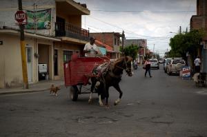A man rides his horse cart in Ocotlan, where five federal&nbsp;&hellip;