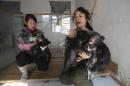 Breeders feed black bears cubs at a zoo in Kunming