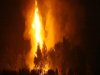 Δένδιας:Εμπρησμοί οι φωτιές στα ελληνικά δάση – Η ΕΥΠ στο κυνήγι των εμπρηστών