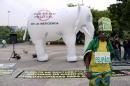 A Brazilian fan poses in front of a white elephant deployed in a protest by Federal Police personnel on strike in Rio de Janeiro, Brazil on May 7, 2014
