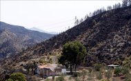 Vista general de la finca donde se originó uno de los incendios que han afectado a miles de hectáreas en la Comunidad valenciana. EFE/Archivo